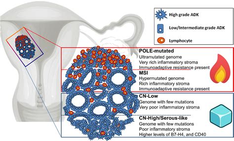 Molecular Approaches For Classifying Endometrial Carcinoma