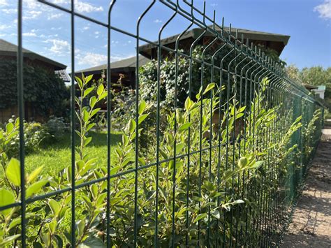Забор из сварной сетки 1,73x2,5м в полимере Fine купить в Москве