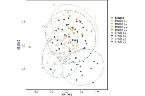 Study investigates how young fish ingest plastic