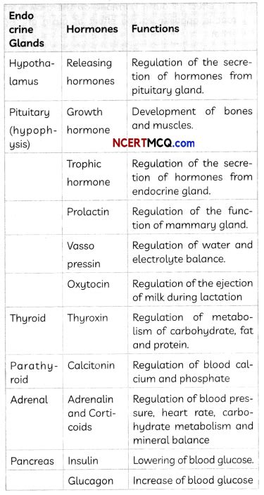 Hormones In Animals Equations And Examples Ncert Mcq