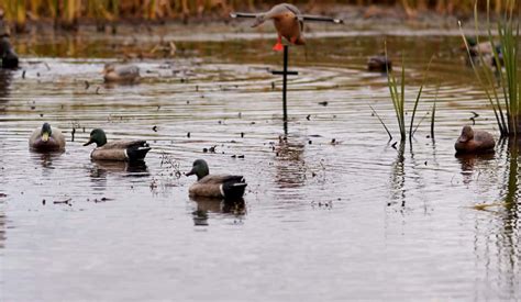 Tips for Setting Up Duck Decoys | Mossy Oak Gamekeeper