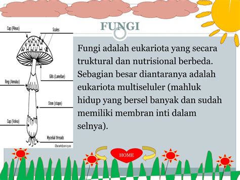 Ppt Kingdom Fungi Powerpoint Presentation Free Download Id2339711