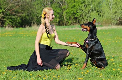 Doberman Blonde Woman Friendship - Free photo on Pixabay - Pixabay