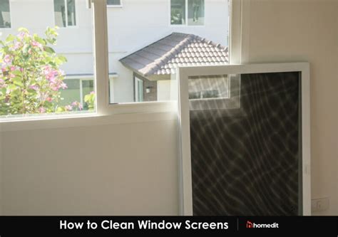 Cleaning Window Screens is Actually Easy if You Follow These Steps