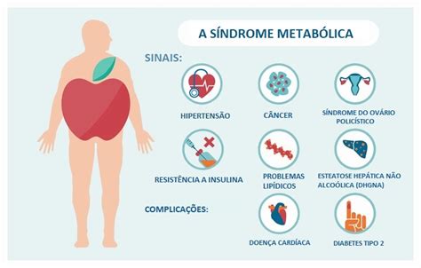 Guia Sobre A Síndrome Metabólica Saúde Tudoporemail