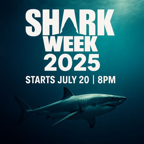Shark Week 2025 - We Love Sharks!