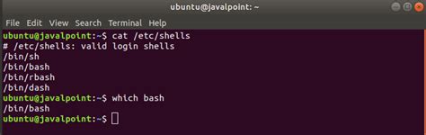 What Is Bash Shell Scripting Tutorialsmate