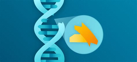 A Guide for Successful Cell and Gene Therapy Research - Advarra