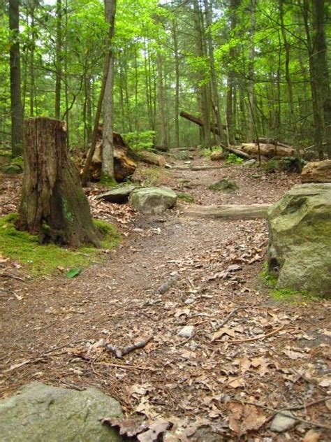 Appalachian Trail Pennsylvania | Appalachian trail, Appalachian trail ...