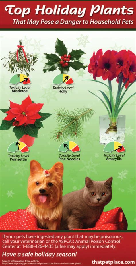 Seasonal Information Racine Veterinary Hospital