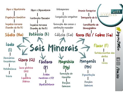 Quais São Os Sais Minerais - MAPA MENTAL SOBRE SAIS MINERAIS - Maps4Study