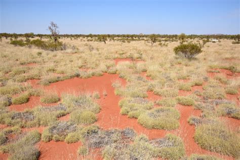 Fairy Circles Discovered In Australian Outback Identical To Mystery