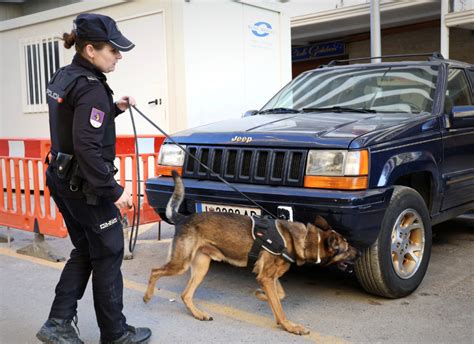 Liberan a 14 mujeres de una red de prostitución en Valencia