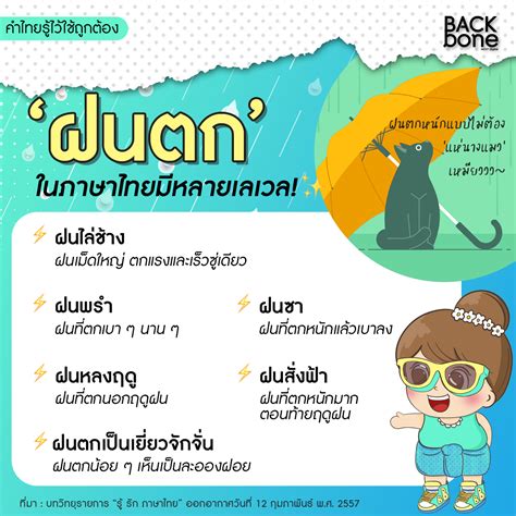 “ฝนตก” ในภาษาไทย มีชื่อเรียกตามเลเวลนะรู้ยัง คำไทยรู้ไว้ใช้ถูกต้อง