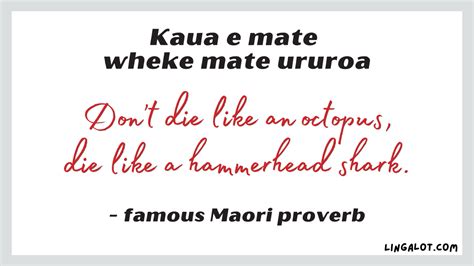 65+ Maori Proverbs, Sayings & Quotes + Their Meanings - Lingalot Te Reo ...