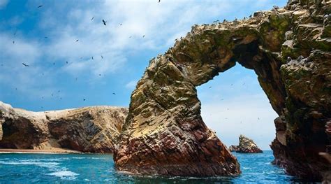 Islas Ballestas And Reserva Nacional De Paracas