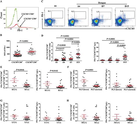 Protective Role Of Follicular Cxcr5 Cd8 T Cells Against Dengue Virus 2 Infection