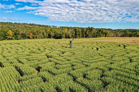 Mazezilla | 11-Acre Corn Maze in the Poconos, Pennsylvania