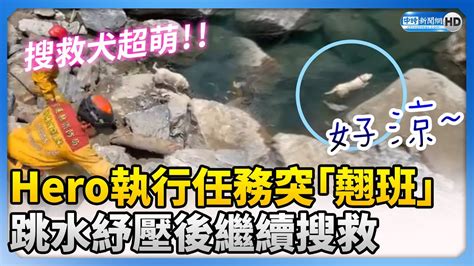 【0403地震day9】超萌！搜救犬hero執行任務突「翹班」 跳水紓壓後續搜尋新加坡夫妻 Chinatimes Youtube