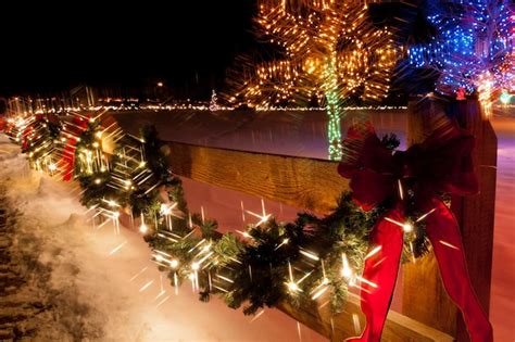 Premium Photo | Trail of lights at denver botanical gardens at chatfield.