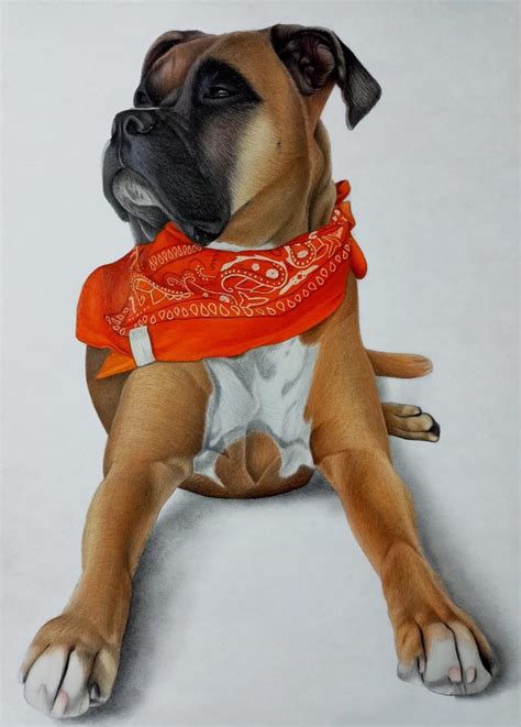 Colored pencil portrait of a Dog Order work for my client : r/ColoredPencils