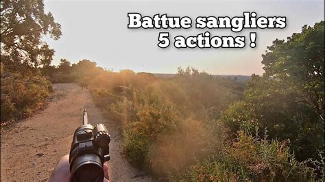 Chasse Aux Sangliers 5 Actions 2023 2024 YouTube