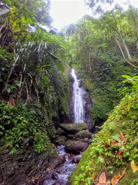 Sailing Borealis : Chasing waterfalls in Grenada