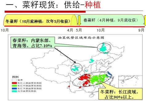 图说：油菜籽产业概况及数据分析期货滚动新闻菜籽菜粕期货登陆郑商所新浪财经新浪网