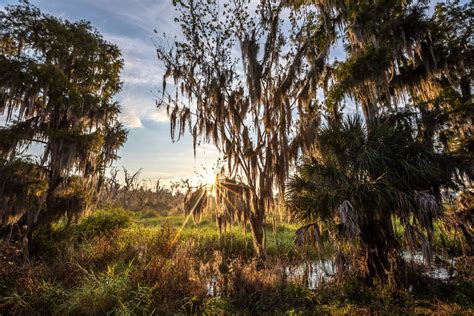 Top Hiking & Biking Trails in Central Florida - Visit USA