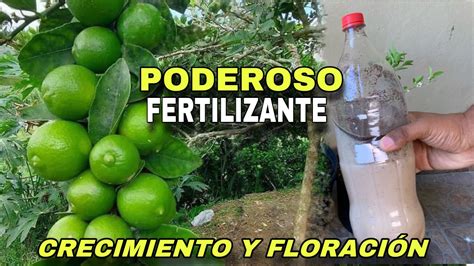 PODEROSO ABONO Crecimiento y Floración Aplica este poderoso para que