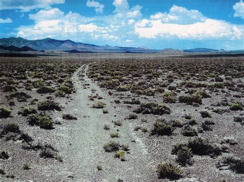 Desert shrubs | Natural landmarks, Landmarks, Shrubs