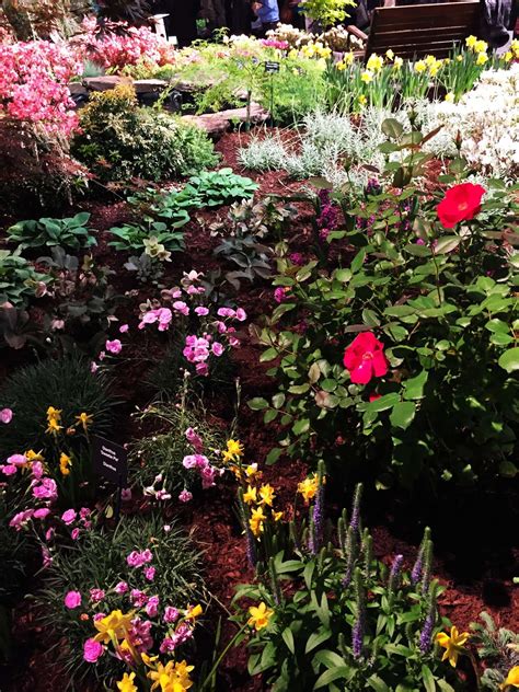 BioArtGal: The Boston Flower Show