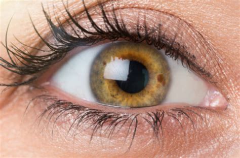 Los Colores De Ojos Más Raros Clínica Oftalmológica Lasik Center