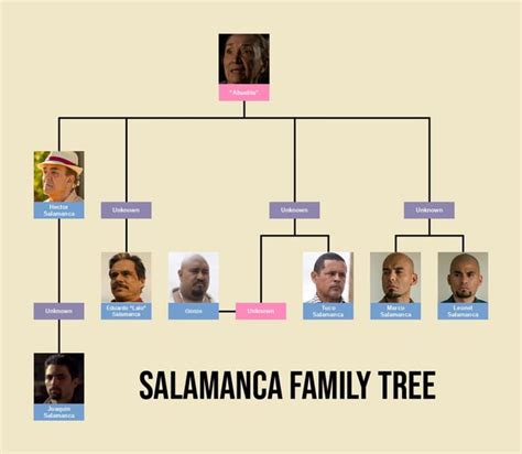 I made a Salamanca family tree : r/breakingbad