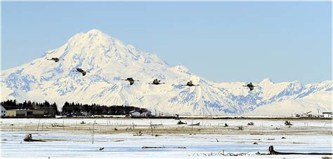 Campgrounds on the Kenai Peninsula in Alaska