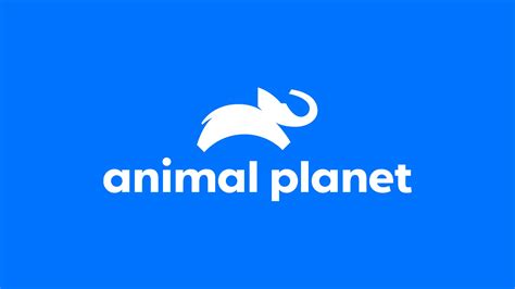 Animal Planet | Animal Planet