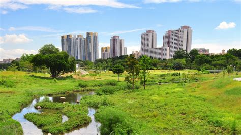 Nature Parks In Singapore Condominiums Near 7 Popular Green Spaces To