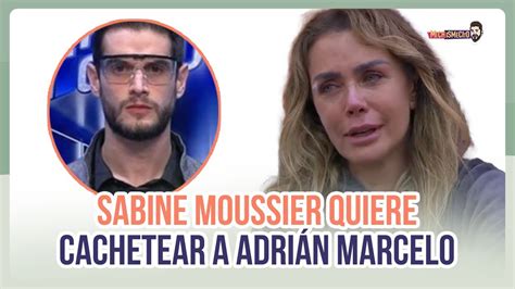 Sabine Moussier ahora quiere cachetear a Adrián Marcelo MICHISMECITO