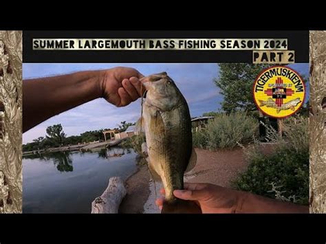 SUMMER LARGEMOUTH BASS FISHING SEASON 2024 PART 2 FROGGING YouTube