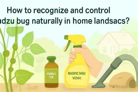 How To Recognize And Control Kudzu Bug Naturally In Home Landscapes