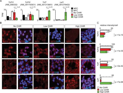 A Catenin Driven Switch In Tcf Lef Transcription Factor Binding To