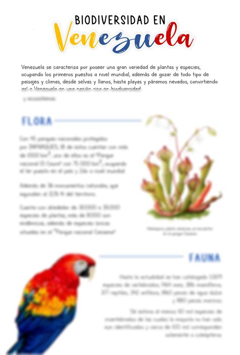 SOLUTION Biodiversidad En Vnezuela Infograf A Studypool