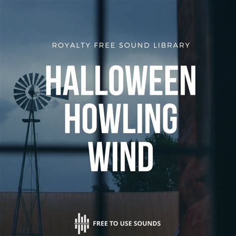 New Howling Wind Sound Effects | Perfect for Halloween!!! : r/soundeffectslibrary