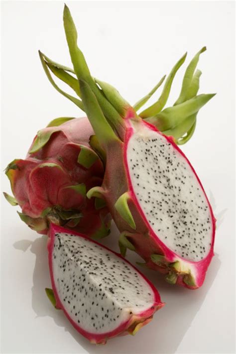 How To Grow Dragon Fruit From Cuttings Hunker