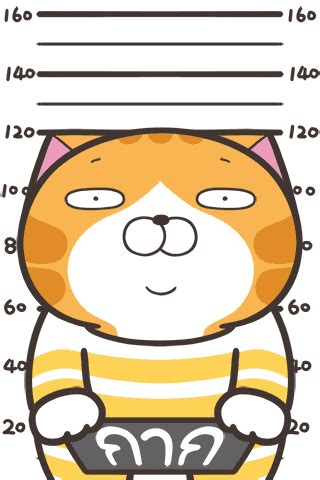 Cat Stickers Funny Stickers Smelly Cat Watch Wallpaper Cartoon Gifs