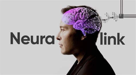 Neuralink De Elon Musk Enfrenta Acusaciones De Abuso Por Experimentos