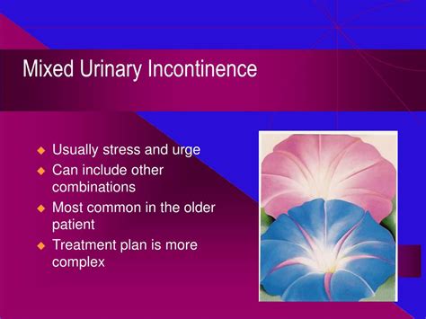 Ppt Urinary Incontinence Diagnosis And Management Powerpoint