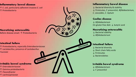 Microbiome And Paediatric Gut Diseases Archives Of Disease In Childhood