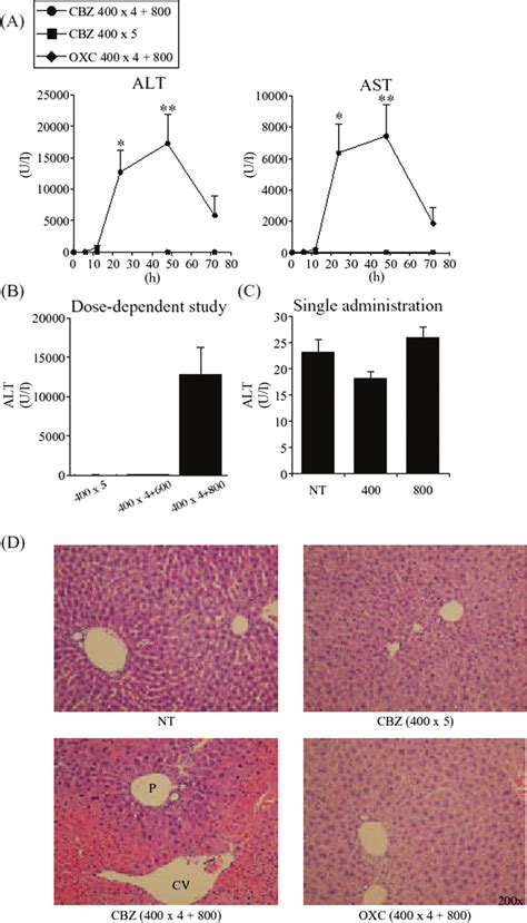 Time And Dose Dependent Changes In Plasma Alt And Ast Levels In