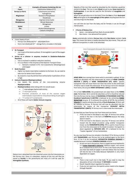 SOLUTION Biochemistry Lecture Notes On Mineral Metabolism 2022 2023